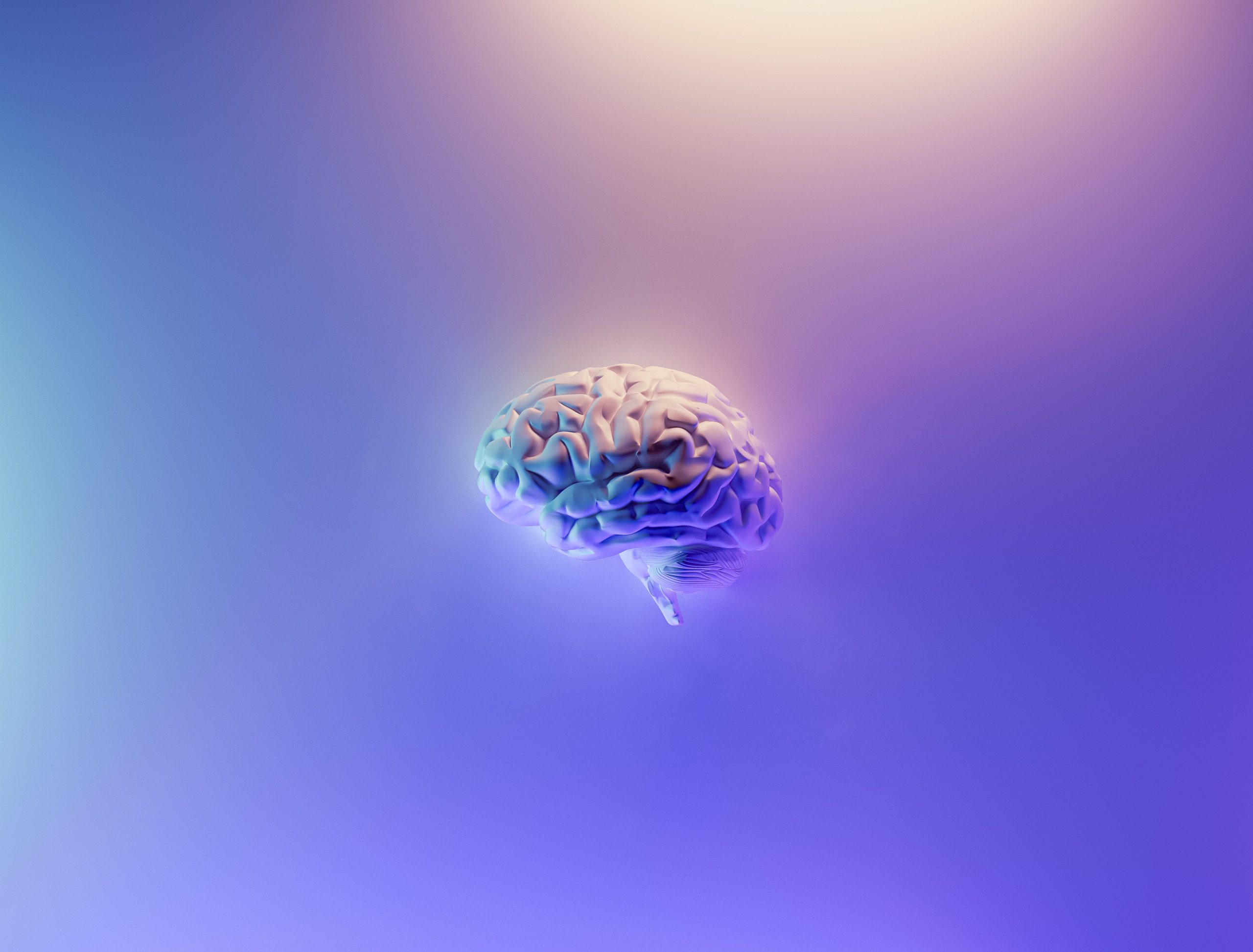 How Trauma effects the brain